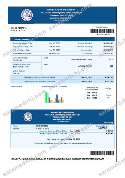 Philippines Davao City Water District utility bill template in Word and PDF formats